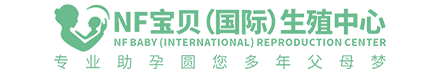 盛瑞网
